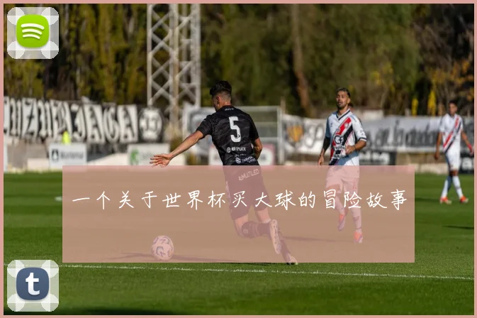 一个关于世界杯买大球的冒险故事
