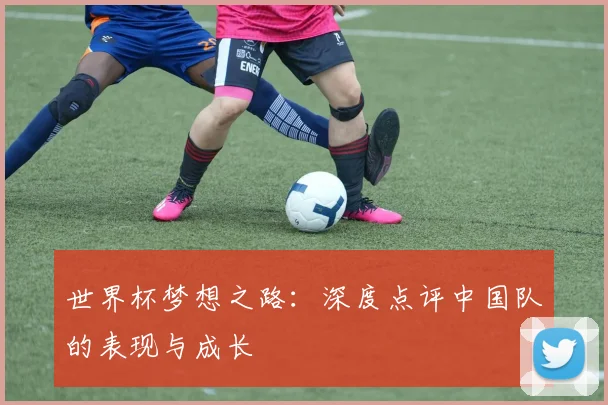 世界杯梦想之路:深度点评中国队的表现与成长