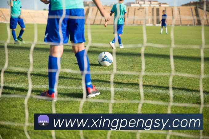 平台展示图