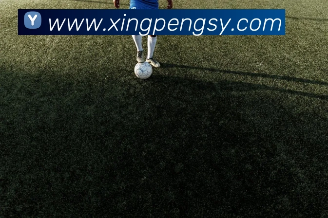 博亚体育app官网入口APP 封面图