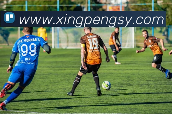 数据防护可视化